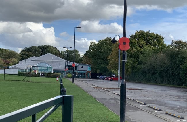 Poppies on lamposts in Hatletts Park